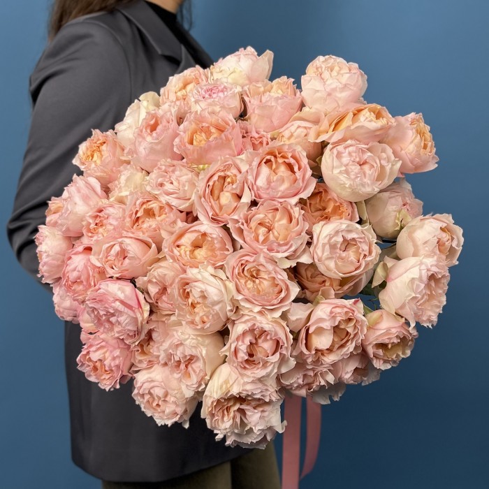 Кустовая пионовидная роза Джульетта Хани 60 см